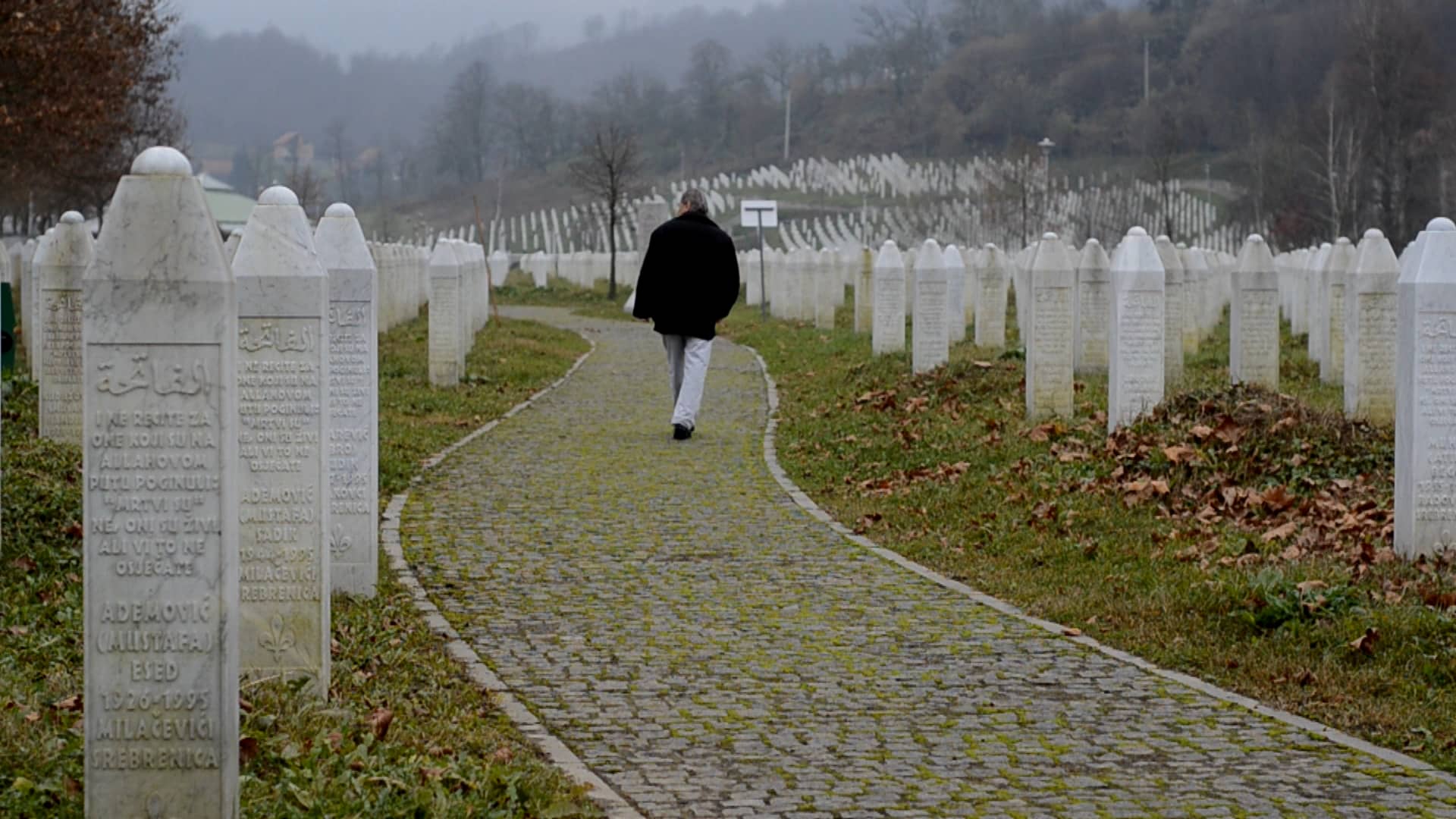 The Fog of Srebrenica