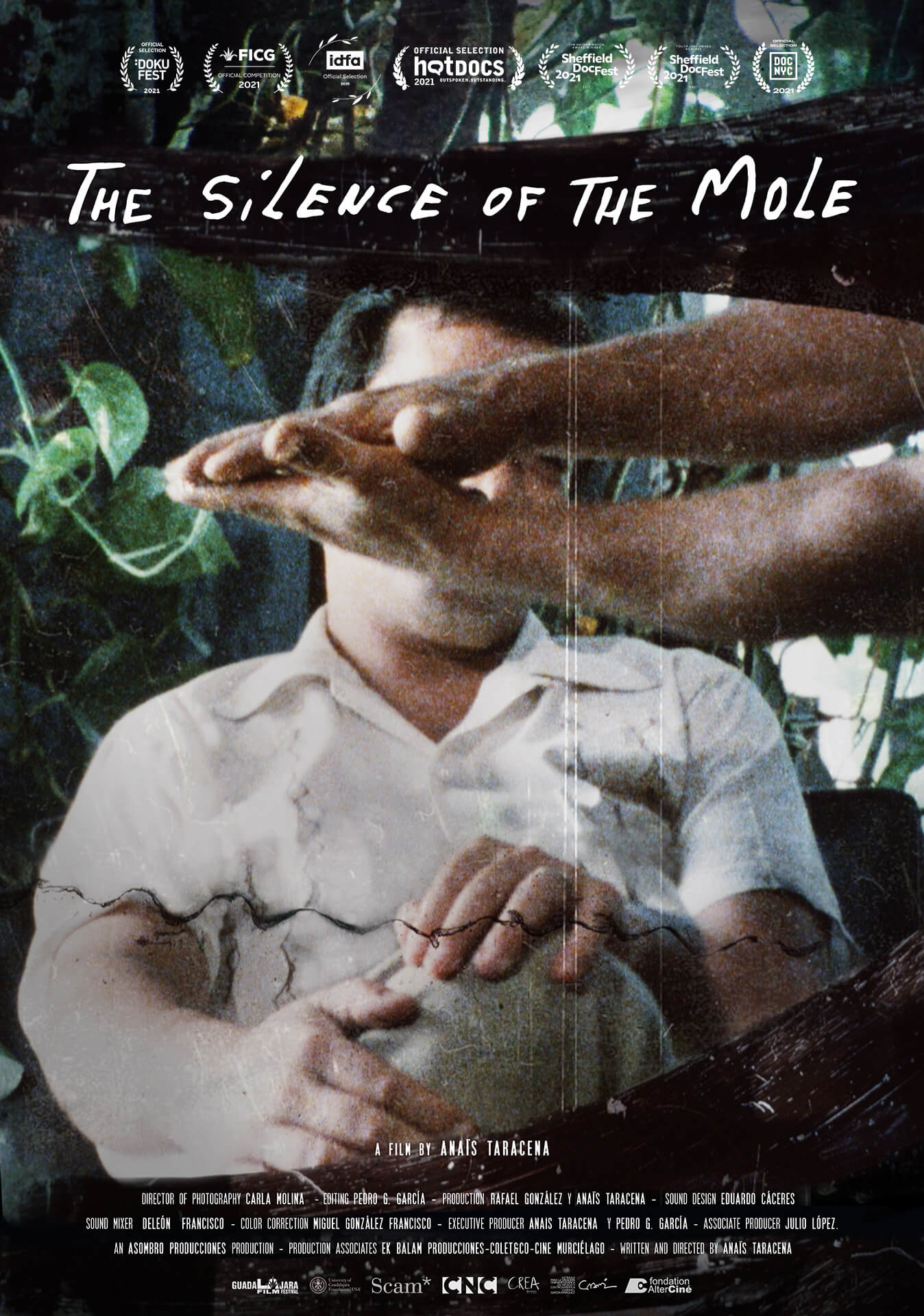 The Silence of the Mole movie poster.